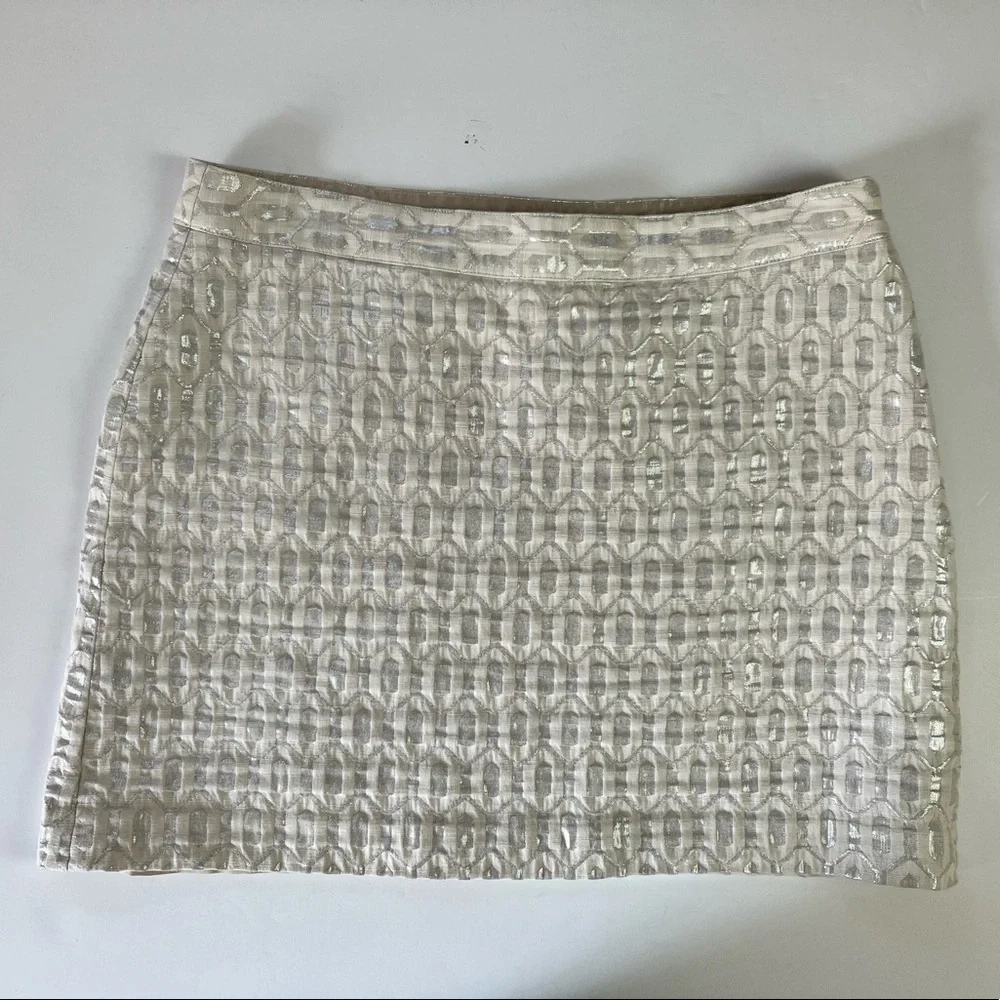 Banana Republic Mini Skirt
